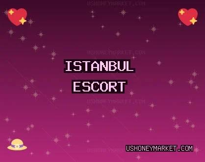 İstanbul Escort: Tuzla Escort, Zeytinburnu Escort, Avcılar Escort