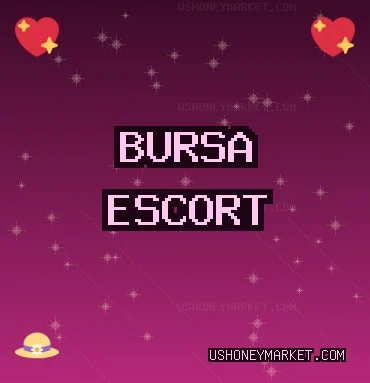 Bursa Escort: Osmangazi Escort, Yıldırım Escort, Nilüfer Escort